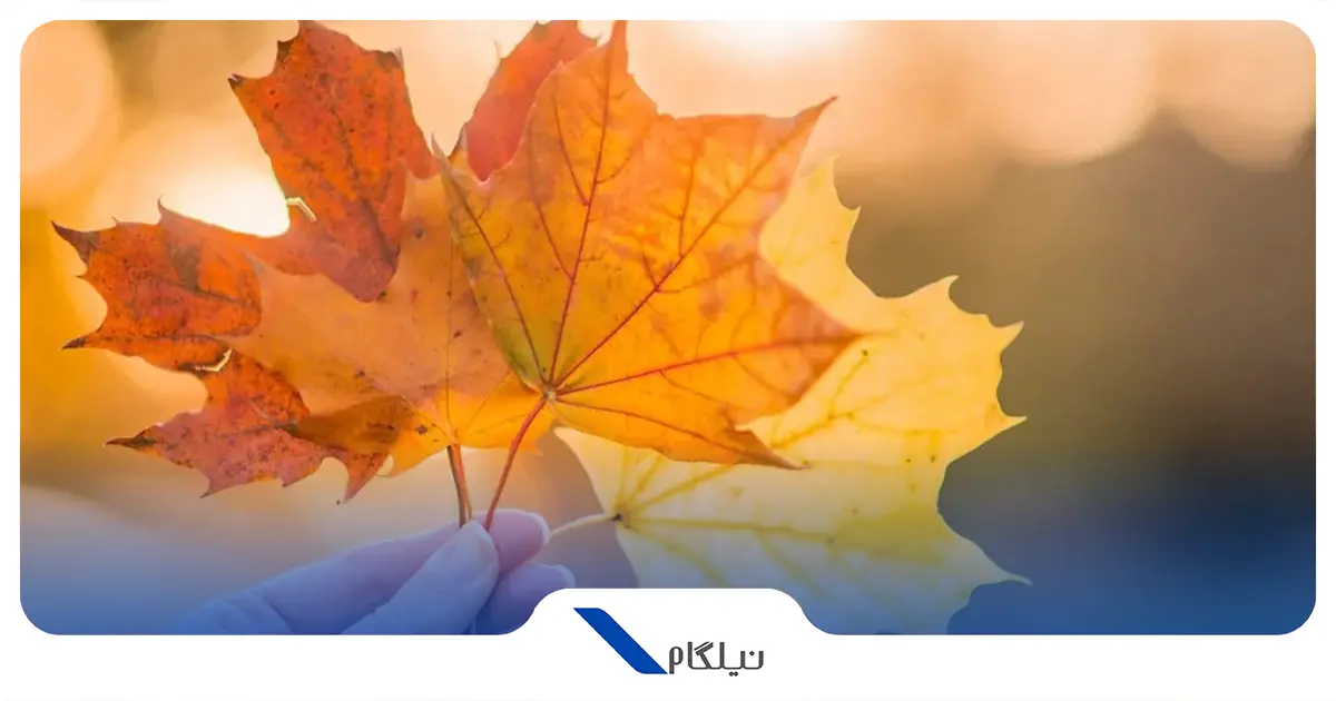 آب و هوای کانادا در پاییز