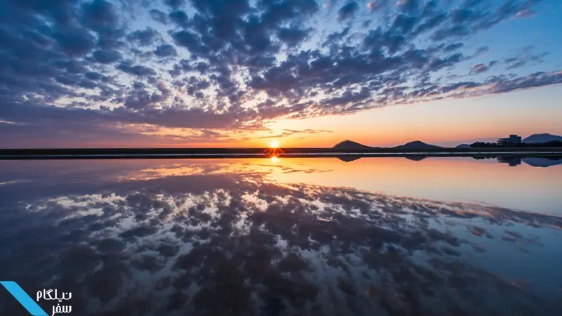 سالار د اویونی