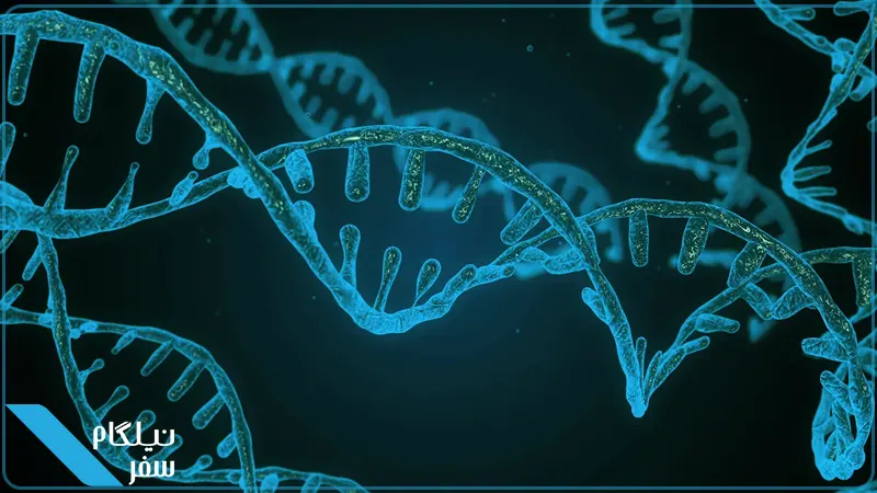 مشاغل اسکیل ورکر استرالیا در حوزه علوم